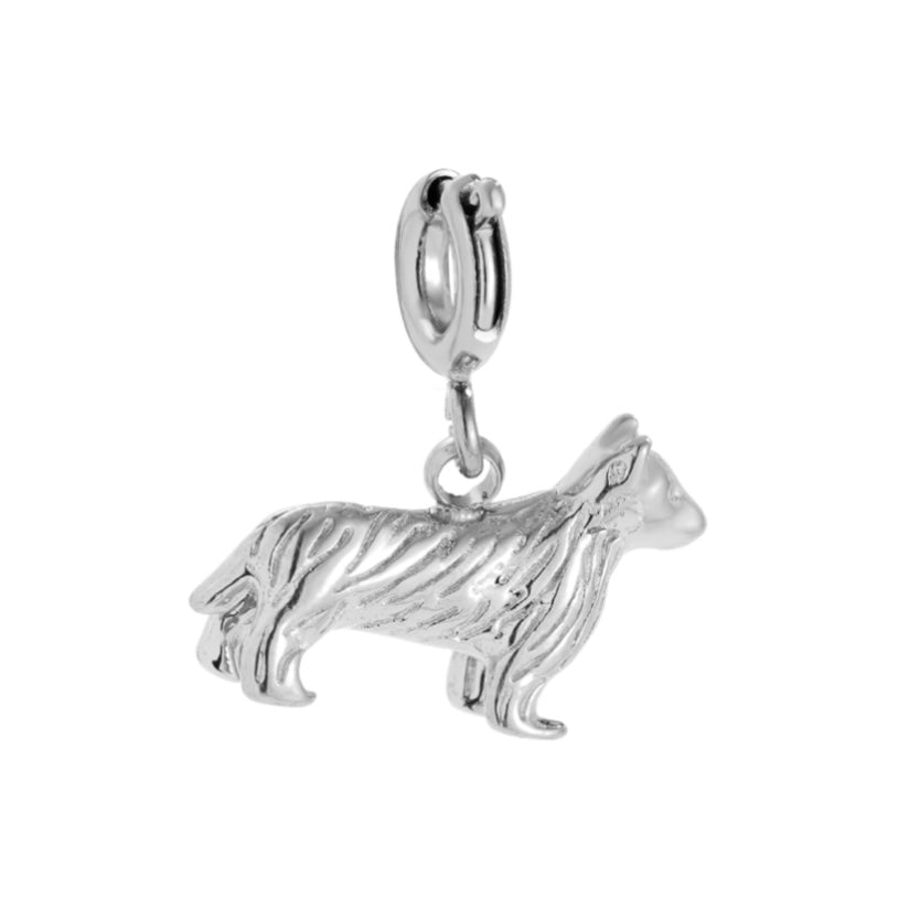 CHARM DOG