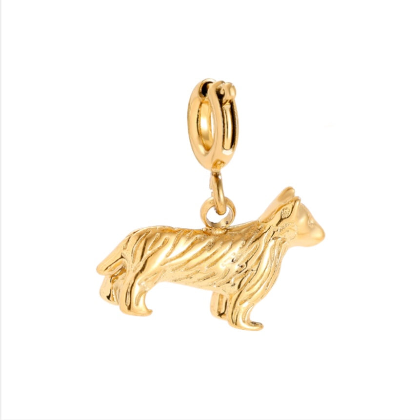 CHARM DOG