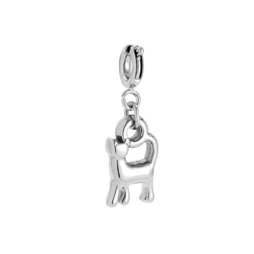CHARM CAT