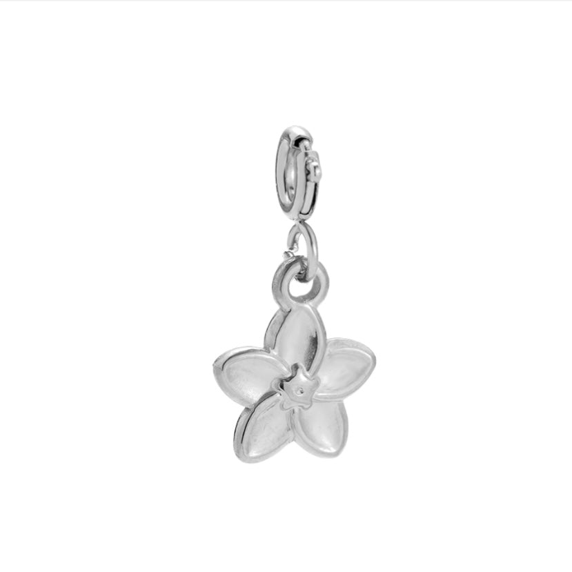 CHARM HIBISKUS