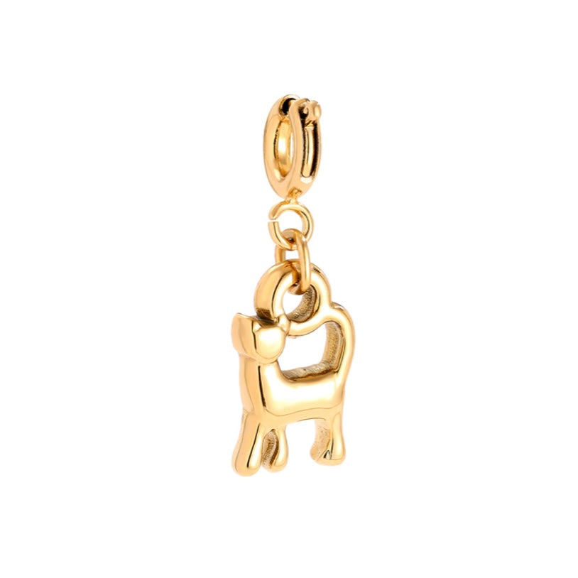 CHARM CAT