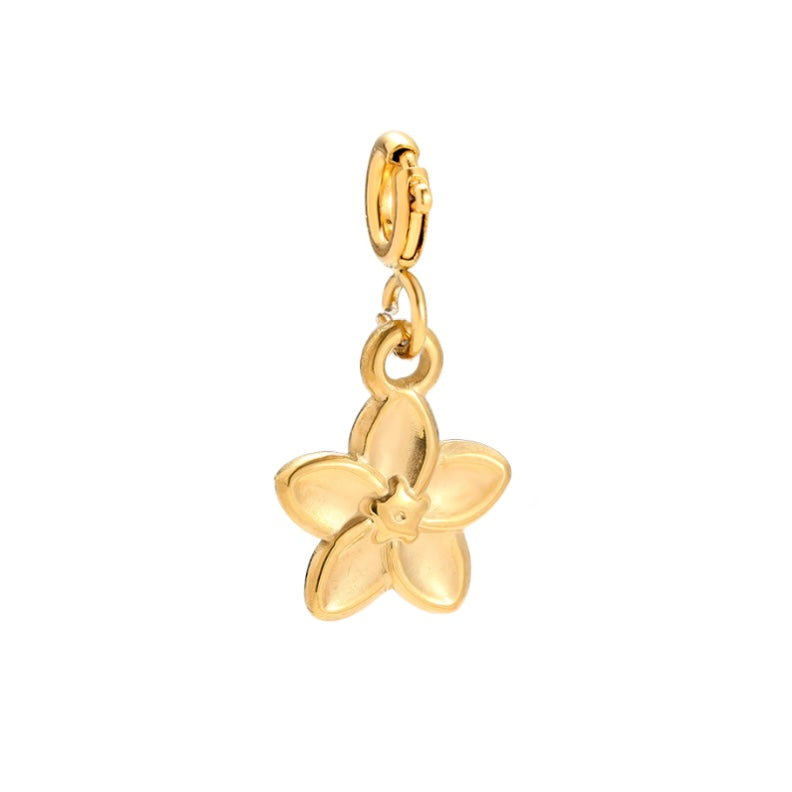 CHARM HIBISKUS
